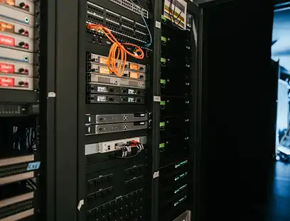 Database Management & Maintenance